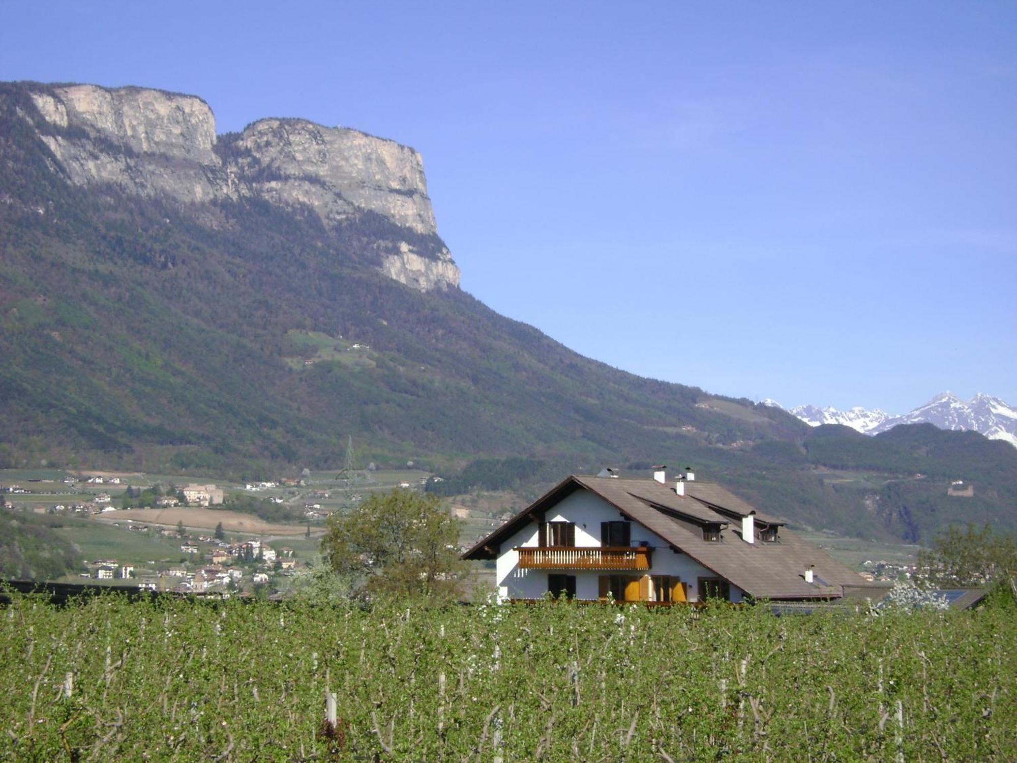 Appartements Weisshauserhof 阿皮亚诺苏拉斯特拉达 外观 照片